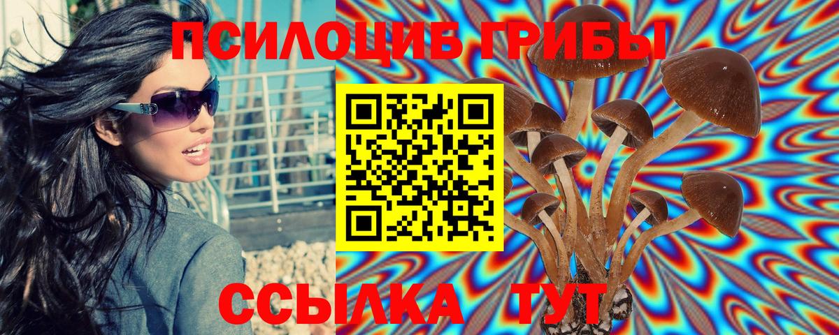Луховицы  Галлюциногенные грибы Psilocybine cubensis  Вход с VPN  Псилоцибиновые грибы Psilocybine cubensis 